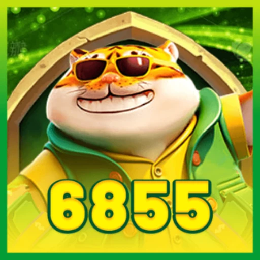 6855.com